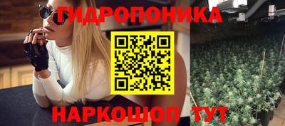 сатива Коммунар