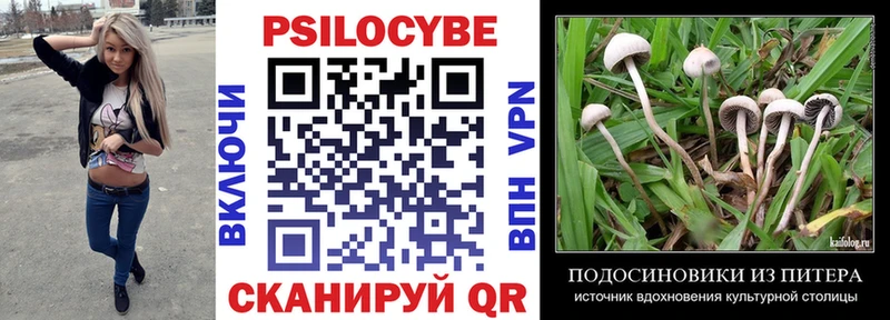 Галлюциногенные грибы Psilocybe  гидра ТОР  Дальнереченск 