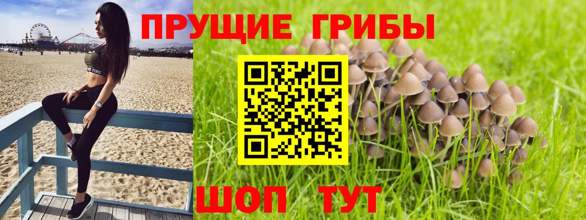 Дальнереченск  Псилоцибиновые грибы ЛСД  где купить наркоту  Вход с VPN 
