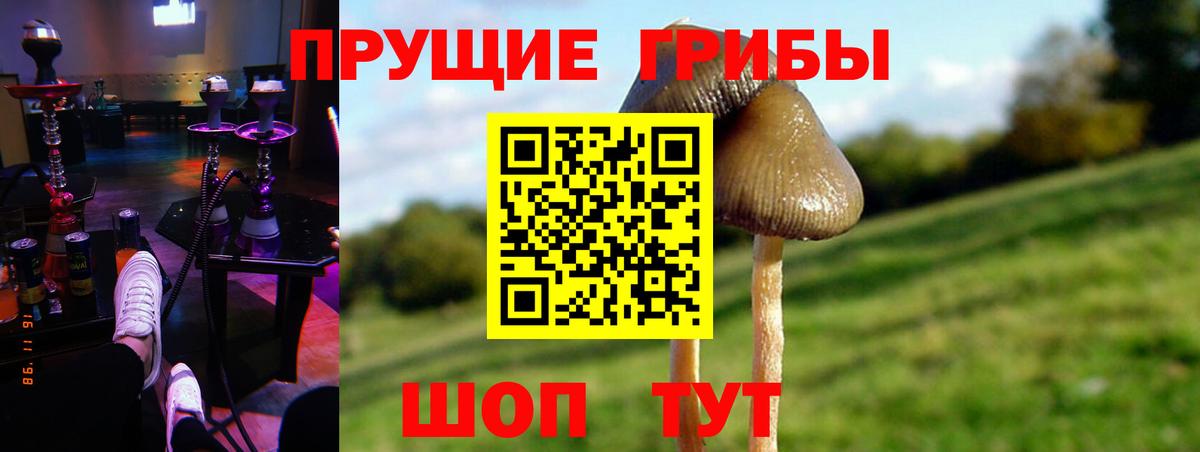 Псилоцибиновые грибы мухоморы Дальнереченск