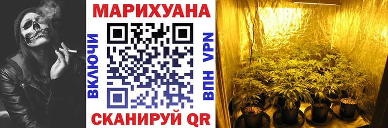 Шишки марихуана марихуана  hydra маркетплейс  Дальнереченск 